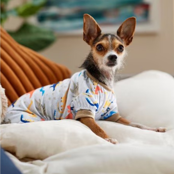 NWT-Lot of Two-XSmall Doggy Pajamas-one dinosaur print & one Mandalorian print - Picture 1 of 8
